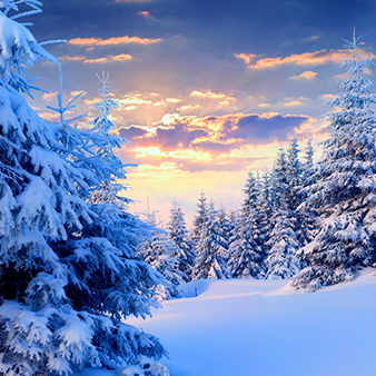 雪景