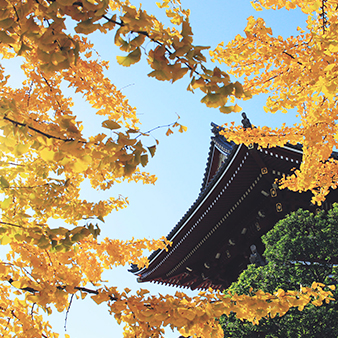 古代建筑